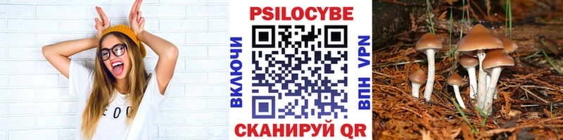 Купить где Енисейск Галлюциногенные грибы ЛСД